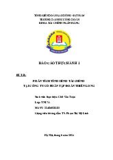 Phân tích Tình hình Tài chính Tập đoàn Thiên Long | Môn Thực hành 1 - Đại học Công Đoàn