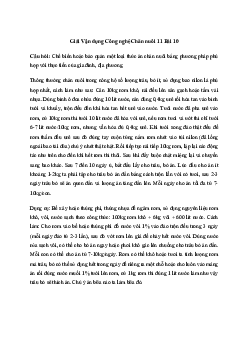 Giải Công nghệ 11 Bài 10: Thực hành Chế biến, bảo quản thức ăn cho vật nuôi | Kết nối tri thức