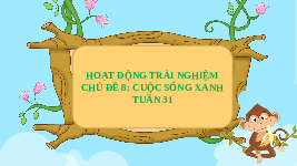 Giáo án điện tử Hoạt động trải nghiệm 3 Tuần 31 Chân trời sáng tạo: Cuộc sống xanh