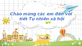 Giáo án điện tử Tự nhiên và Xã hội 2 Bài 3 Kết nối tri thức: Phòng tránh ngộ độc khi ở nhà