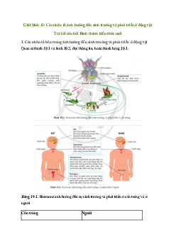 Giải Sinh 11 bài 19: Các nhân tố ảnh hưởng đến sinh trưởng và phát triển ở động vật | Cánh diều