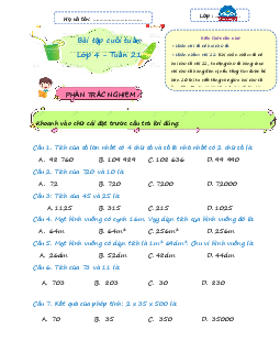 Giải Bài tập cuối tuần lớp 4 môn Toán Chân trời sáng tạo - Tuần 21