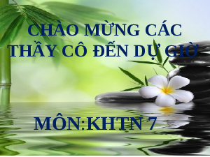 Giáo án điện tử Khoa học tự nhiên 7 bài 17 Kết nối tri thức : Ảnh của vật qua gương phẳng