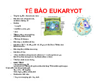 Bài 1: Tế Bào Eukaryote | Tóm tắt sinh học tế bào