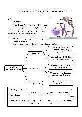 Tổng hợp lý thuyết môn Sinh học 12