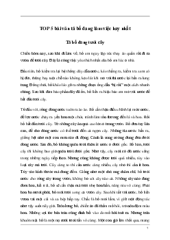 Tả bố đang làm việc (5 mẫu) | Tập làm văn lớp 5