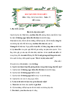 Bài tập cuối tuần Tiếng Việt lớp 3 Cánh Diều Tuần 29 cơ bản