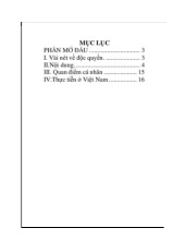 Thị trường độc quyền ở Việt Nam môn Luật thương mại   | Trường đại học kinh doanh và công nghệ Hà Nội
