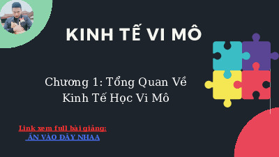 Tài liệu Kinh tế Vi mô chương 1