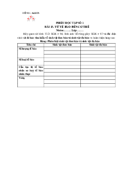 Chủ đề 7. Bài 13: Từ tế bào đến cơ thể(Phiếu học tập) | Bài giảng KHTN 6 | Cánh diều