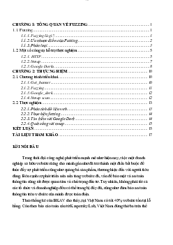 Bài tập lớn môn Kỹ thuật lập trình về Fuzzing