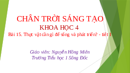 Giáo án điện tử Khoa học 4 Bài 15 Chân trời sáng tạo: Thực vật cần gì để sống và phát triển?