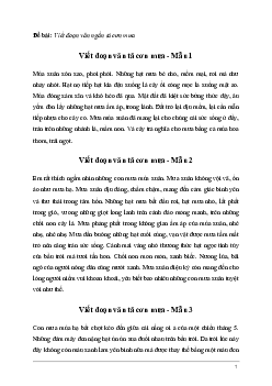 Tập làm văn lớp 5: Đoạn văn tả cơn mưa (12 mẫu)