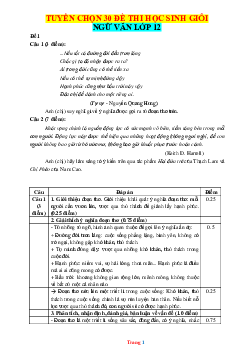 Tuyển chọn 30 đề thi HSG Ngữ Văn 12 (có đáp án)