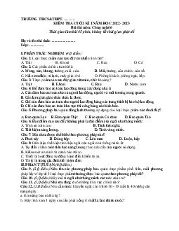 Đề thi học kì 1 môn Công nghệ 6 năm 2023 - 2024 sách Cánh diều | Đề 3