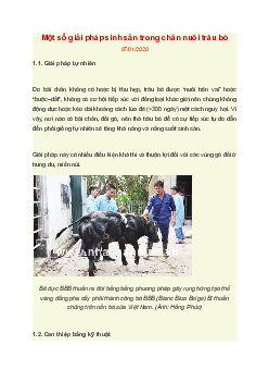 Một số giải pháp sinh sản trong chăn nuôi trâu bò