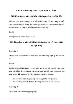 Giải KHTN 6 Bài 17: Tế bào Chân trời sáng tạo