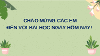 Giáo án điện tử Khoa học tự nhiên 6 bài 42 Chân trời sáng tạo : Bảo toàn năng lượng và sử dụng năng lượng