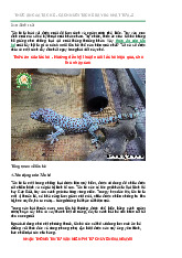 Thức Ăn và Kỹ Thuật Nuôi Tắc Kè Đầy Đủ Nhất Từ A-Z