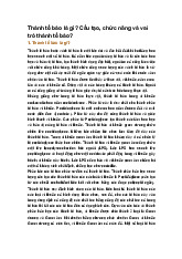 Thành tế bào là gì? Cấu tạo, chức năng và vai trò thành tế bào?