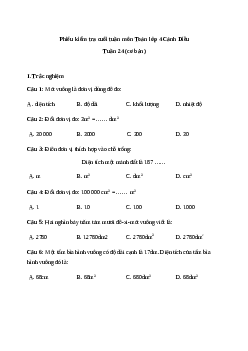 Bài tập cuối tuần Toán lớp 4 Cánh diều - Tuần 24