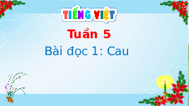 Giáo án điện tử Tiếng Việt 4 Tuần 5 Bài đọc 1: Cau
