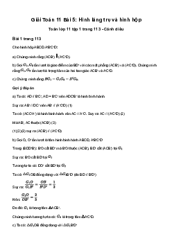 Giải Toán 11 Bài 5: Hình lăng trụ và hình hộp | Cánh diều