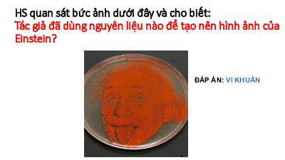 Bài 25: Vi khuẩn | Bài giảng PowerPoint KHTN 6 | Chân trời sáng tạo