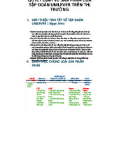 QUYẾT ĐỊNH SẢN PHẨM CỦA TẬP ĐOÀN UNILEVER VÀ THỊ TRƯỜNG VIỆT NAM