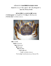 Tổng hợp hình ảnh hải sản - Cua, Tôm, Bào ngư  Môn Quản trị sản xuất và tác nghiệp | Trường Học Viện nông nghiệp Việt Nam