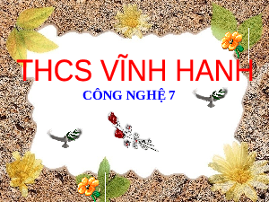 Giáo án điện tử Công nghệ 7 Bài 8 Chân trời sáng tạo: Nghề chăn nuôi ở Việt Nam