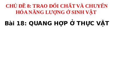 Giáo án điện tử Khoa học tự nhiên 7 Bài 18 Cánh diều: Quang hợp ở thực vật