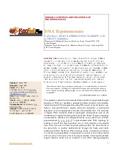 DNA Topoisomerases - Tài liệu môn Sinh học phân tử | Đại học Huế
