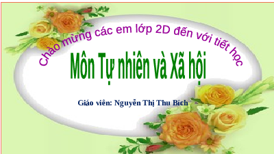 Giáo án điện tử Tự nhiên và xã hội 2 Bài 2 Cánh diều: Nghề nghiệp của người lớn trong gia đình