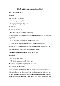 Tả cây nhãn | Tập làm văn lớp 4