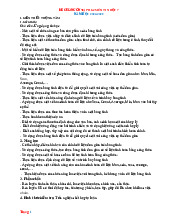 Đề Cương Tập HK2 Tin 7 Kết Nối Tri Thức Cấu Trúc Mới 2024-2025 Có Đáp Án