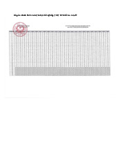 Đáp án chính thức môn Tin học tốt nghiệp THPT 2025 tất cả mã đề