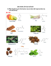 ĐỀ CƯƠNG ÔN TẬP GIỮA KỲ dl2: Nhận Dạng và Chiết Xuất Alkaloid. Môn Dược liệu | Đại học Trường Đại học Phenika.