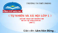Giáo án điện tử Tự nhiên và xã hội 1 bài 16 Chân trời sáng tạo : Cây xung quanh em