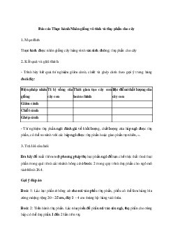 Giải Sinh học 11 Bài 26: Thực hành Nhân giống vô tính và thụ phấn cho cây| Kết nối tri thức