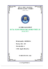 Tiểu luận HÀNH TRÌNH KHỞI NGHIỆP THỨC ĂN HEALTHY môn Tinh thần khởi nghiệp - Trường Đại học Văn Hiến.