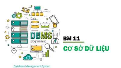 Bài 11 Chủ đề 4 | Bài giảng PowerPoint Tin học 11 Kết nối tri thức