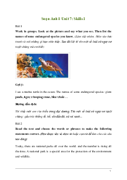 Giải Tiếng Anh 8 Unit 7: Skills 1 | Kết nối tri thức