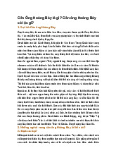 Căn Ông Hoàng Bảy là gì? Căn ông Hoàng Bảy có lộc gì?