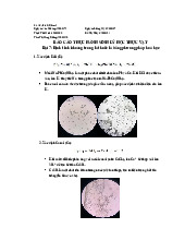 Báo cáo Định tính khoáng trong lá thuốc lá | Sinh trưởng và phát triển thực vật | Trường Đại học Khoa học Tự nhiên, Đại học Quốc gia Hà Nội