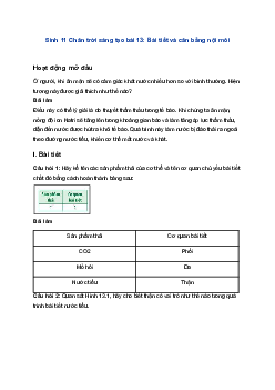 Sinh 11 Chân trời sáng tạo bài 13: Bài tiết và cân bằng nội môi