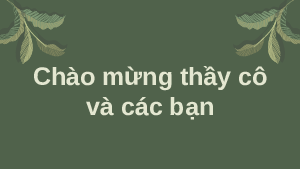 Giáo án điện tử Lịch sử 8 Bài 17 Cánh diều: Việt Nam nửa đầu thế kỉ XX