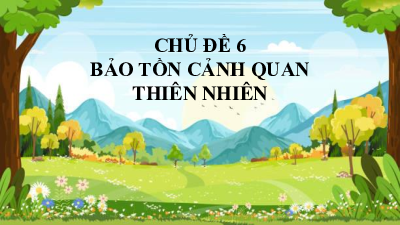 Chủ đề 6: Bảo tồn cảnh quan thiên nhiên (HĐ5) | Bài giảng PowerPoint Hoạt động trải nghiệm 11 Chân trời sáng tạo