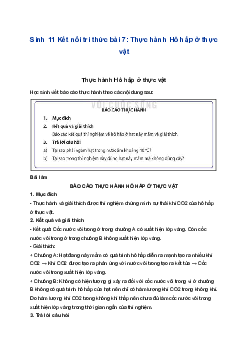 Sinh 11 Kết nối tri thức bài 7: Thực hành Hô hấp ở thực vật