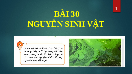 Giáo án điện tử Khoa học tự nhiên 6 bài 30 Kết nối tri thức : Nguyên sinh vật
